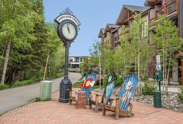 421 Rainbow Dr Unit 2, Silverthorne, CO 80498 - photo 35
