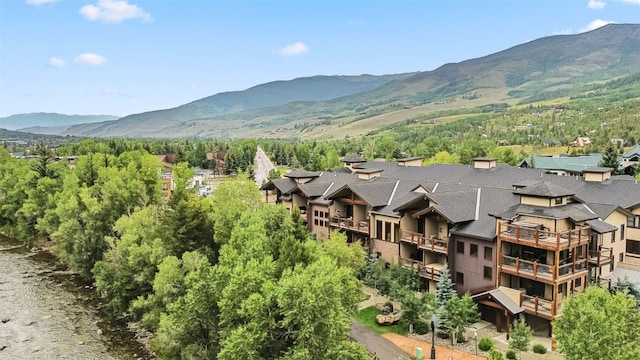 421 Rainbow Dr Unit 2, Silverthorne, CO 80498 - photo 31