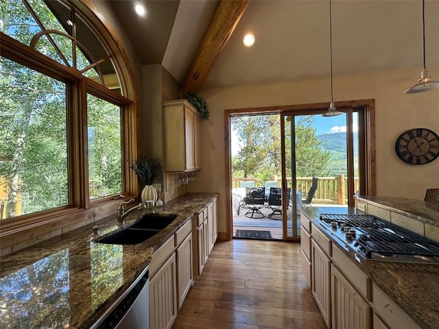 368 Black Hawk Cir, Silverthorne, CO 80498 - kitchen with stainless steel appliances, healthy amount of natural light, light wood-type flooring, pendant lighting, and recessed lighting