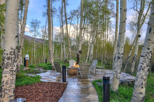 53 Hargrove Way, Silverthorne, CO 80498 - view of home's community with a fire pit, a patio, and a mountain view