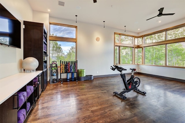 53 Hargrove Way, Silverthorne, CO 80498 - workout room featuring a ceiling fan, healthy amount of natural light, wood finished floors, baseboards, and recessed lighting