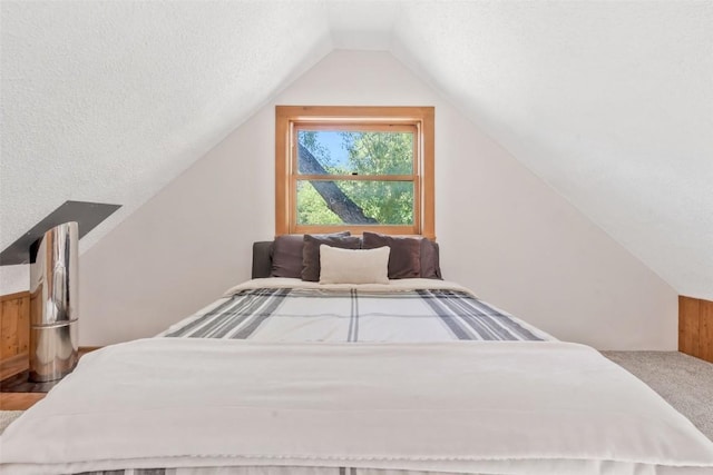 211 W Oak St, Oak Creek, CO 80467 - bedroom with lofted ceiling
