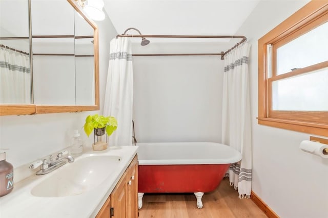 211 W Oak St, Oak Creek, CO 80467 - bathroom featuring a freestanding bath, wood finished floors, and vanity