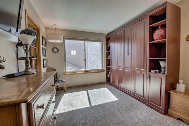 131 Allegra Ln Unit 131, Silverthorne, CO 80498 - unfurnished office featuring light colored carpet