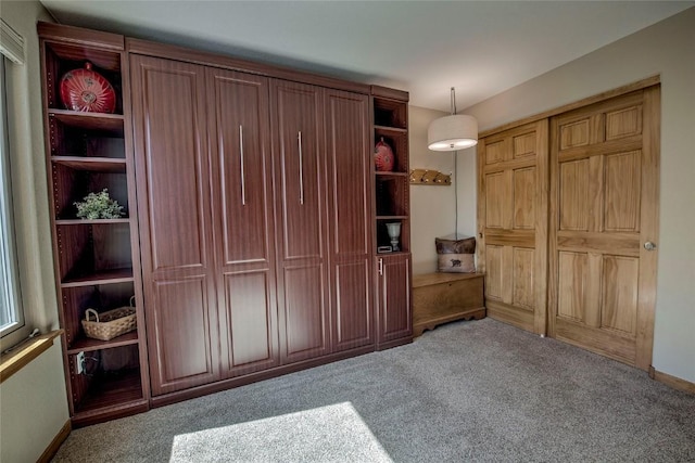 131 Allegra Ln Unit 131, Silverthorne, CO 80498 - view of closet
