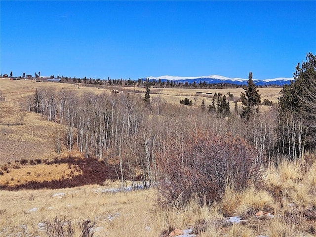 Listing photo 2 for TBD Hornbill, Como CO 80456