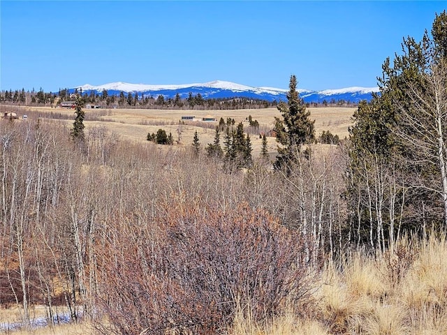 TBD Hornbill, Como CO, 80456 land for sale