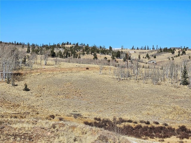 Listing photo 3 for TBD Hornbill, Como CO 80456