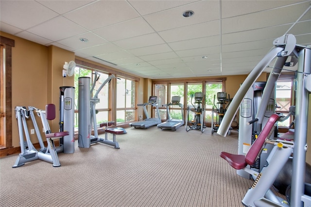 1460 Bangtail Way Unit 1B, Steamboat Springs, CO 80487 - workout area featuring carpet and a paneled ceiling