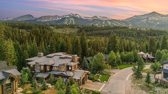 165 River Park Dr, Breckenridge, CO 80424 - view of mountain backdrop featuring a heavily wooded area