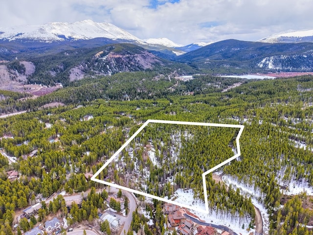 779 Gold King Way, Breckenridge, CO 80424