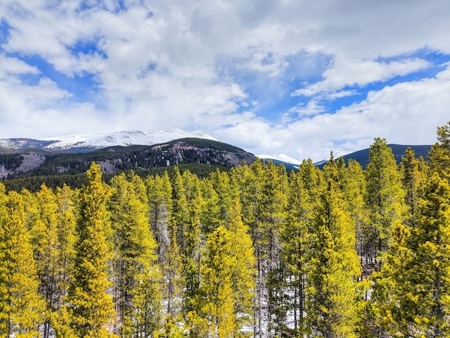 779 Gold King Way, Breckenridge, CO 80424