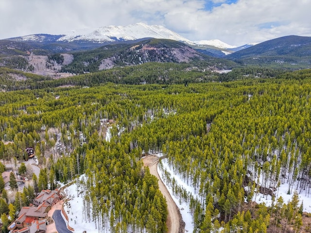 779 Gold King Way, Breckenridge, CO 80424