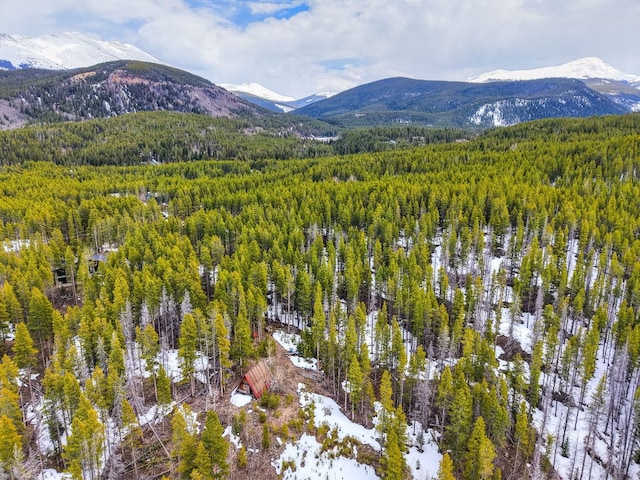 779 Gold King Way, Breckenridge, CO 80424