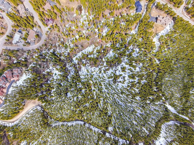 779 Gold King Way, Breckenridge, CO 80424