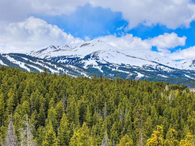 779 Gold King Way, Breckenridge, CO 80424