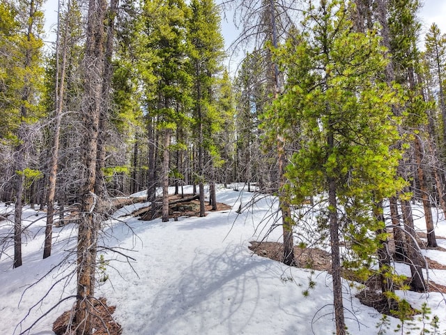 779 Gold King Way, Breckenridge, CO 80424