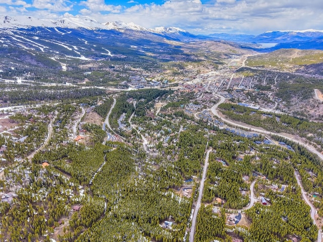 779 Gold King Way, Breckenridge, CO 80424