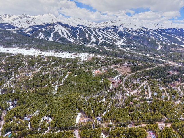 779 Gold King Way, Breckenridge, CO 80424
