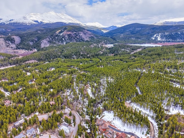 779 Gold King Way, Breckenridge, CO 80424