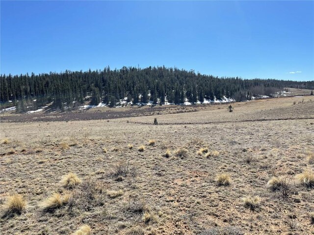 3233 Remington Rd, Como, CO 80432 - photo 5