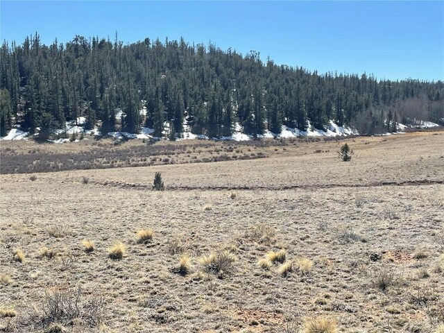 3233 Remington Rd, Como, CO 80432 - photo 10