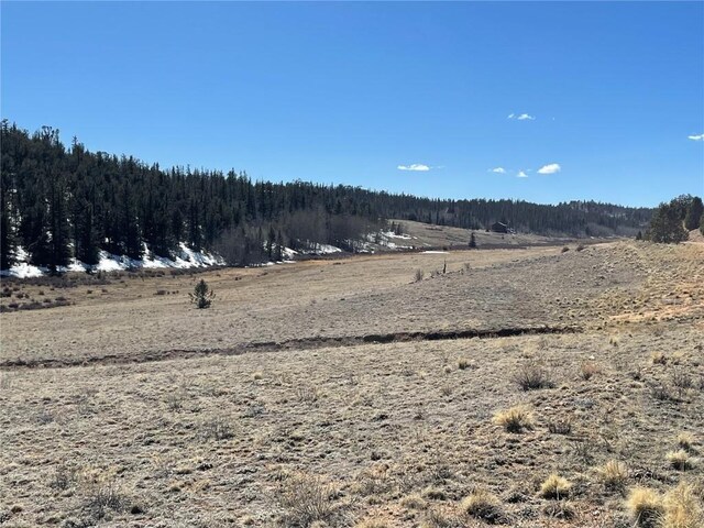 3233 Remington Rd, Como, CO 80432 - photo 13