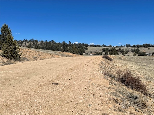 3233 Remington Rd, Como, CO 80432 - photo 8