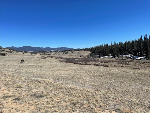 3233 Remington Rd, Como, CO 80432 - photo 7