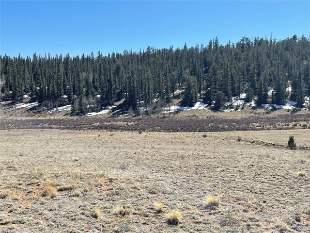 3233 Remington Rd, Como, CO 80432 - photo 11