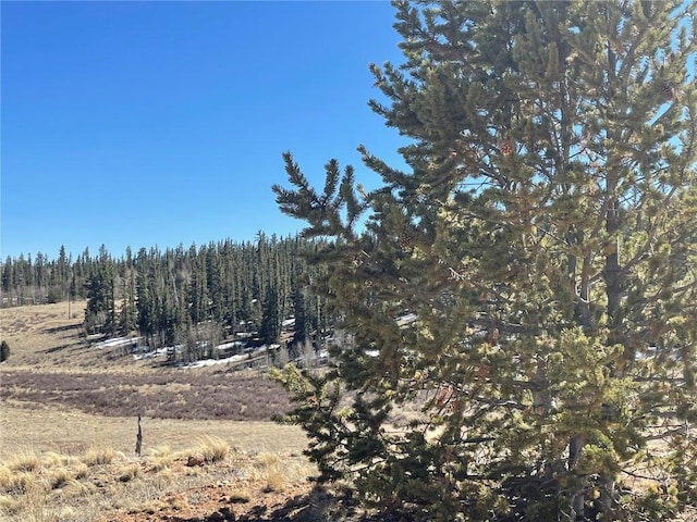 3233 Remington Rd, Como, CO 80432 - photo 6