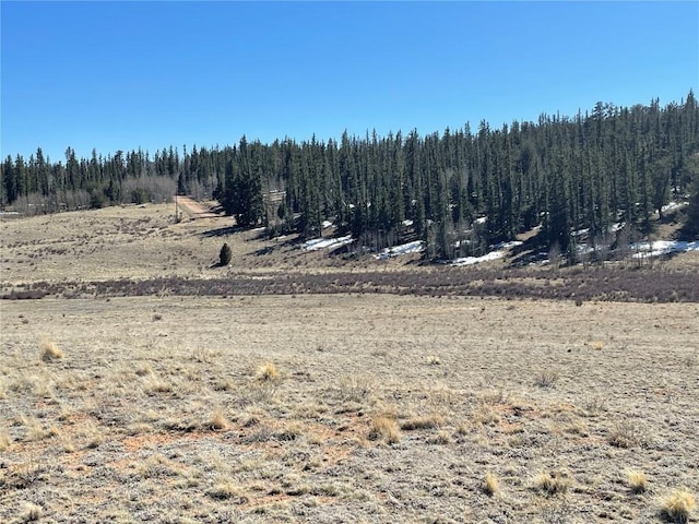 3233 Remington Rd, Como, CO 80432 - photo 12