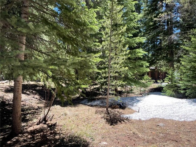 15 Wilderness Dr, Breckenridge, CO 80424