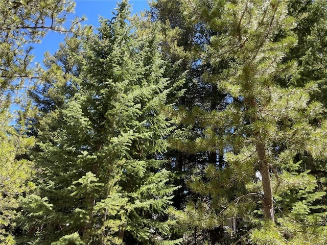 15 Wilderness Dr, Breckenridge, CO 80424