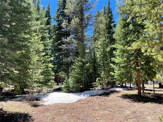 15 Wilderness Dr, Breckenridge, CO 80424