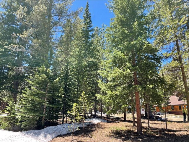 15 Wilderness Dr, Breckenridge, CO 80424
