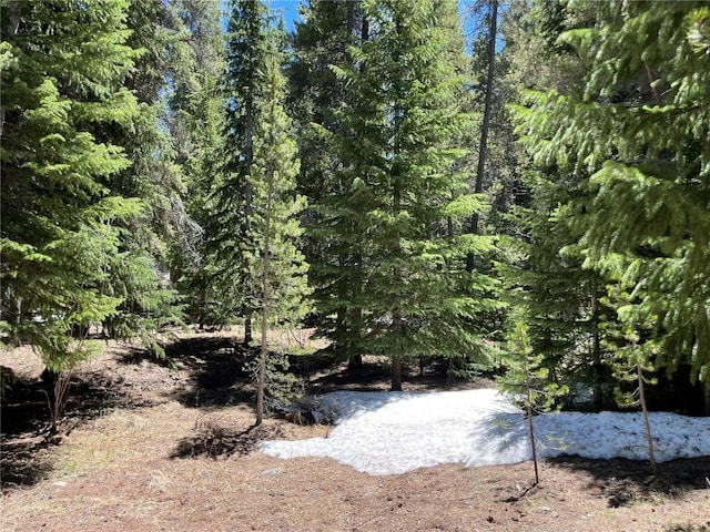 15 Wilderness Dr, Breckenridge, CO 80424