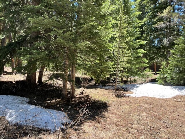 15 Wilderness Dr, Breckenridge, CO 80424