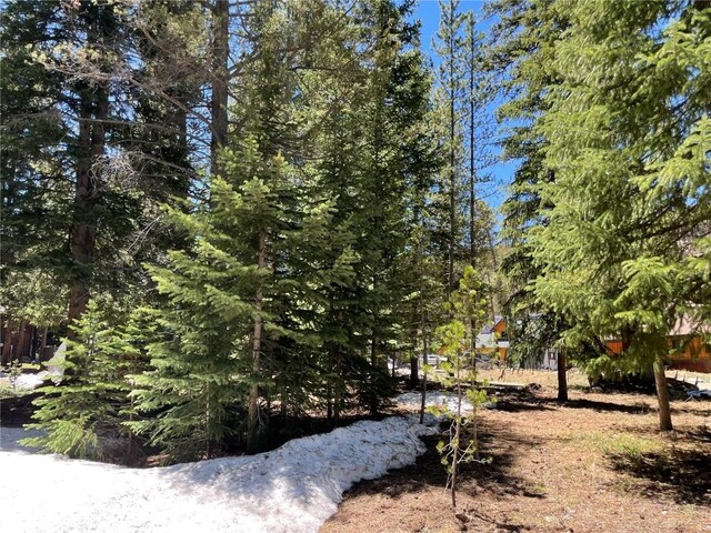 15 Wilderness Dr, Breckenridge, CO 80424