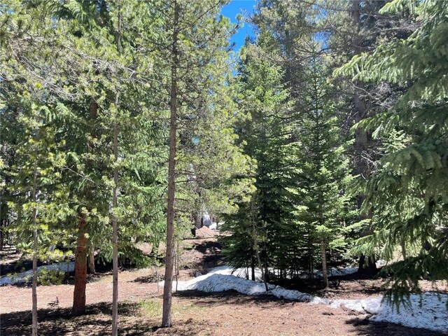 15 Wilderness Dr, Breckenridge, CO 80424