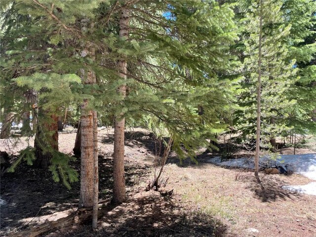 15 Wilderness Dr, Breckenridge, CO 80424
