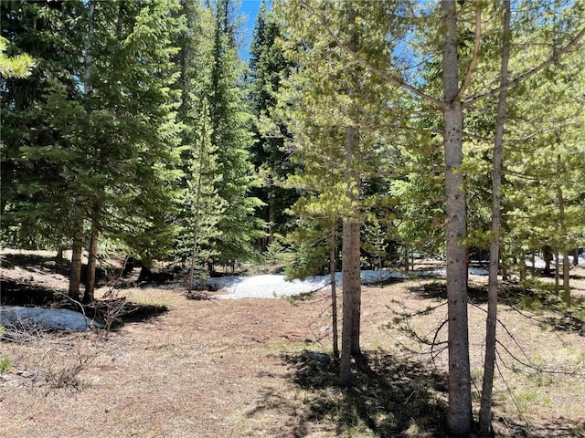 15 Wilderness Dr, Breckenridge, CO 80424