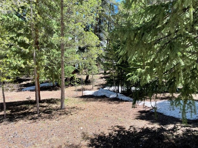15 Wilderness Dr, Breckenridge, CO 80424