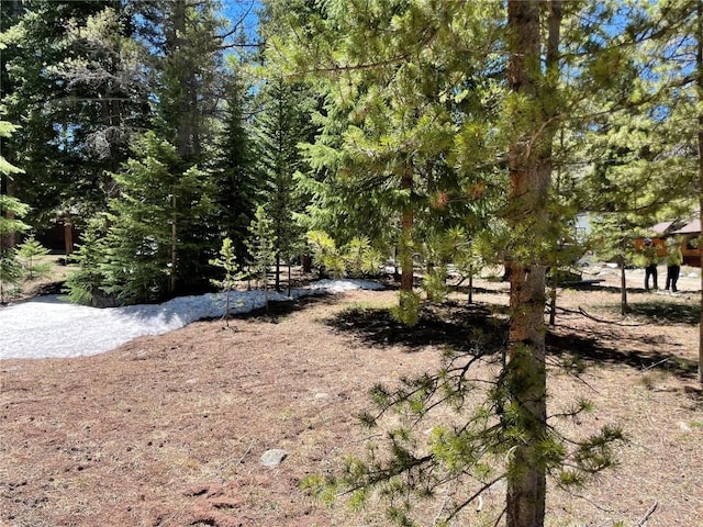 15 Wilderness Dr, Breckenridge, CO 80424