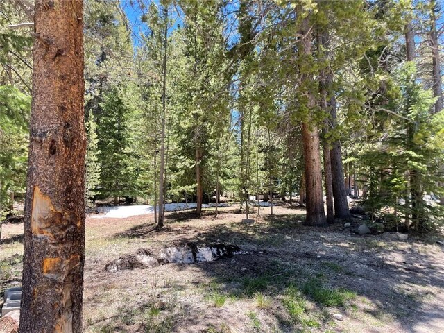 15 Wilderness Dr, Breckenridge, CO 80424