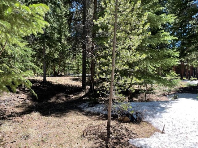15 Wilderness Dr, Breckenridge, CO 80424