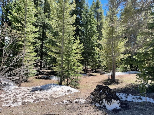 15 Wilderness Dr, Breckenridge, CO 80424