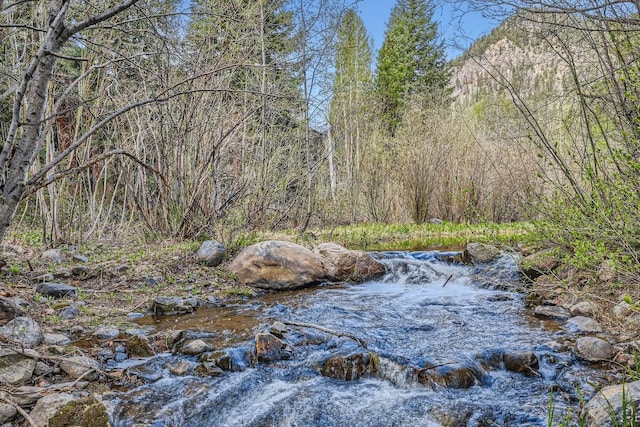 231 Creekside Dr Unit 102, Frisco, CO 80443 - view of wooded area