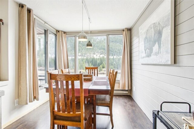 22320 US Highway 6 Unit 1762, Keystone, CO 80435 - dining room featuring healthy amount of natural light, dark wood-type flooring, wooden walls, and a baseboard radiator