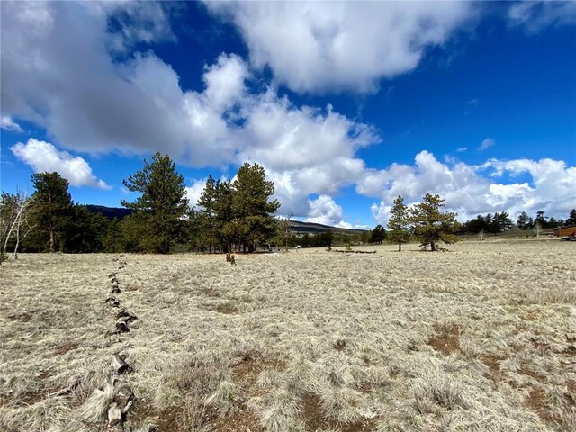 TBD Oahu Rd, Buena Vista, CO 81211 - photo 34